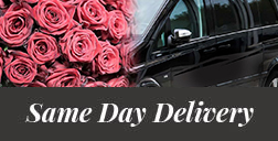 Same Day Nationwide Delivery Same Day Delivery