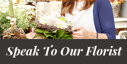 Speak To Our Florist Speak To Our Florist
