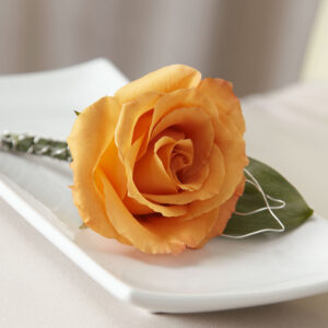 Joyful Boutonniere