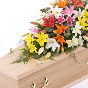 Lily Casket Spray Vibrant