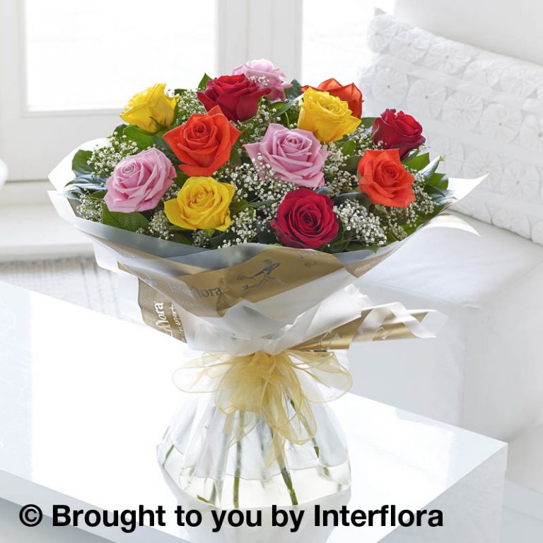 Mixed Dozen Roses