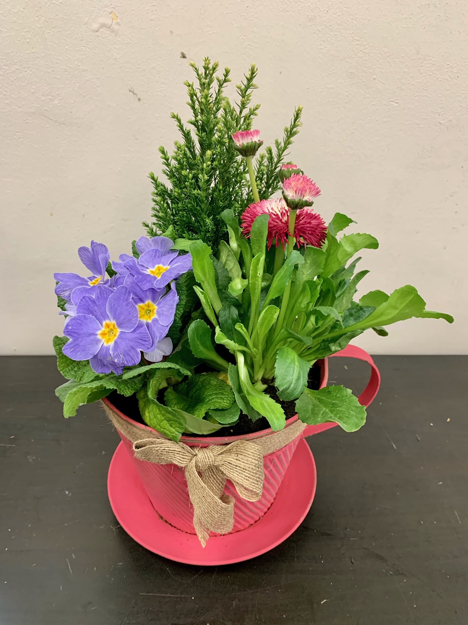 Mother's Day Teacup Planter